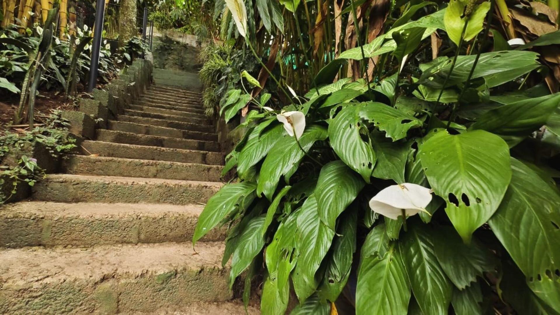 Lush Acres Villa Thekkady Eksteriør billede